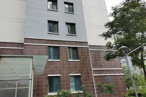 華泰國際豪園公寓住宅深度解析 優點、不足與市場評價