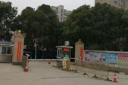 新陽花苑深度解析 優(yōu)缺點、居住體驗與周邊房產(chǎn)中介評價